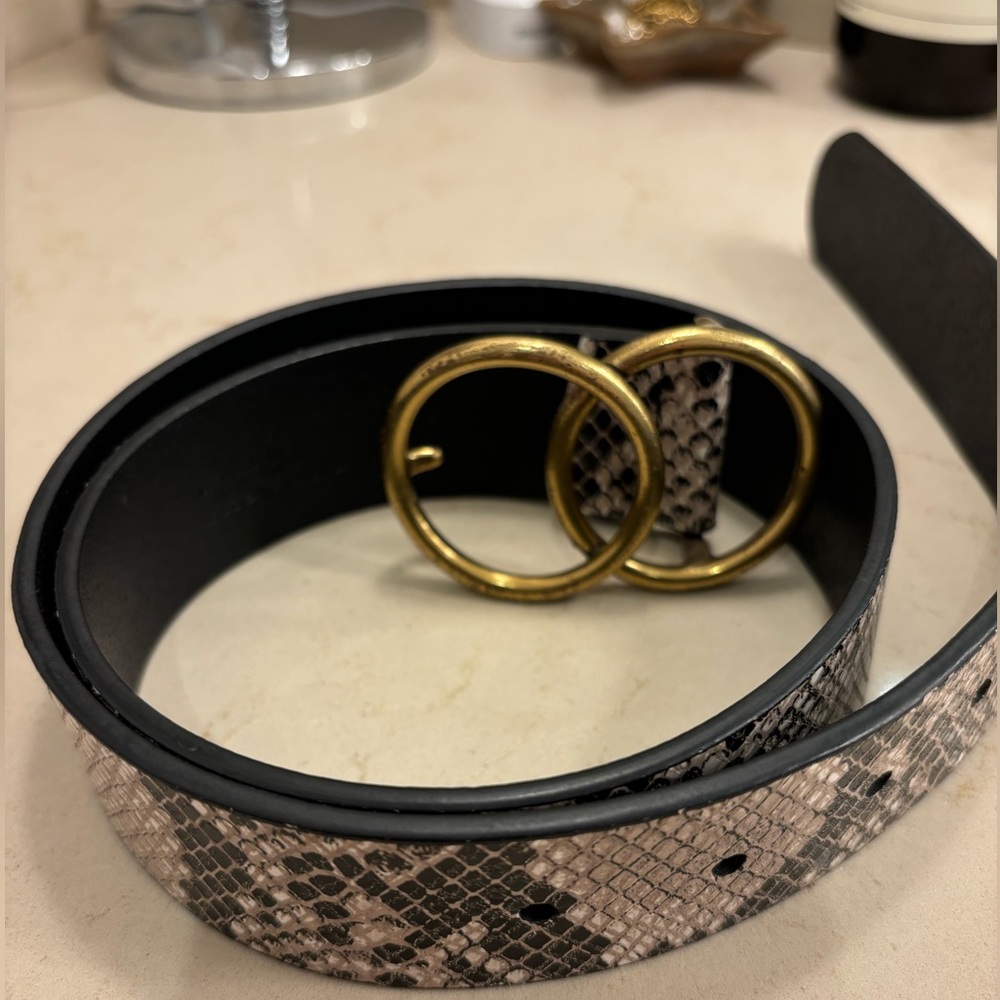 Aritzia Snake Belt